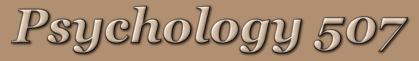 Psychology 507